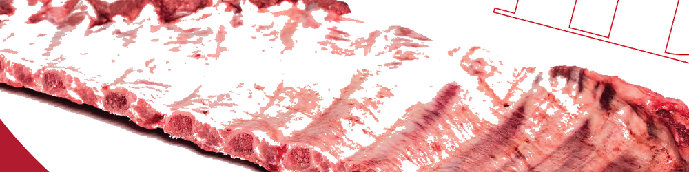 Iberian Pork Rib Strip